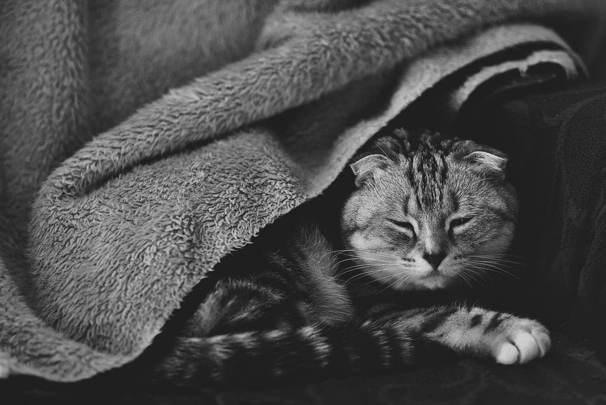 A gray blanket folded neatly on a light surface